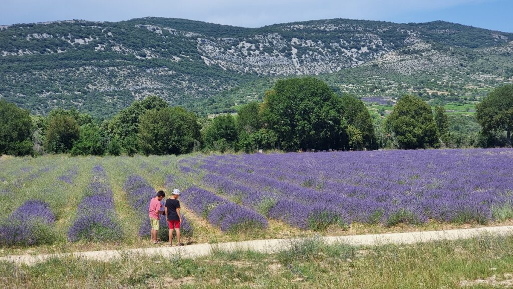 Découvrir l’Ardèche en famille