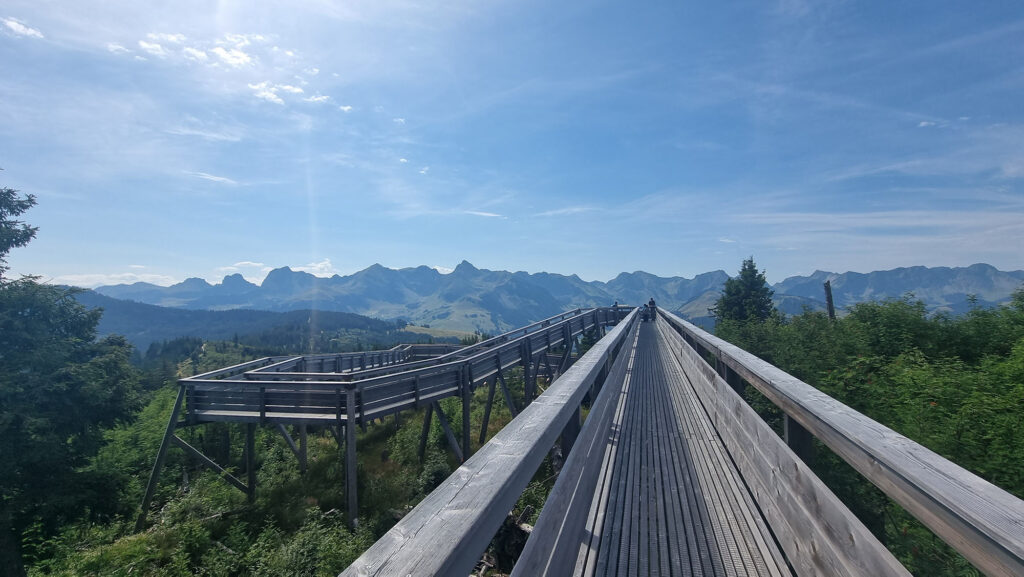 Sur la passerelle du Gantrisch