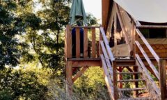 Une nuit de glamping à Alp Safari 