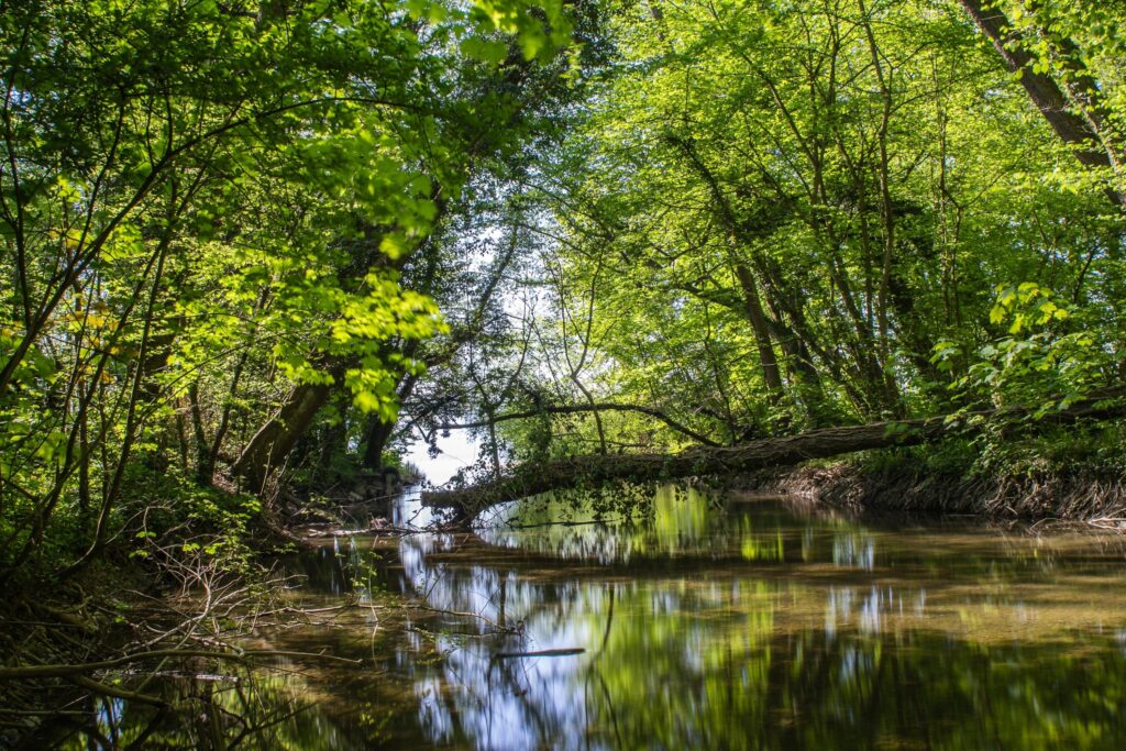 Sentier de la truite