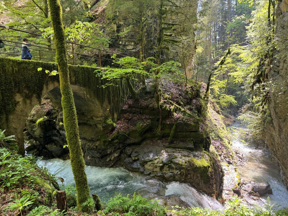 Gorges du Chauderon