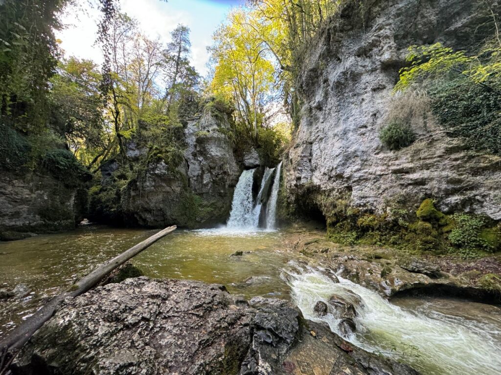 Tine de Conflens