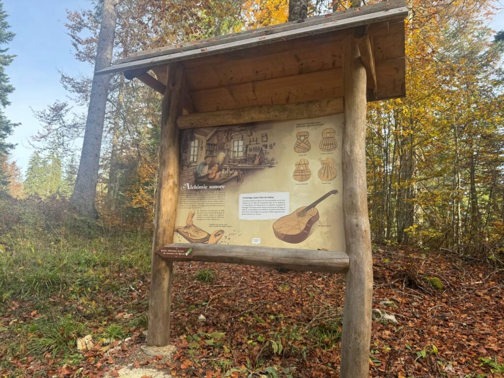 Sentier didactique du bois de résonance du Risoud